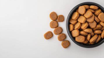 A bowl of dog food on a white surface photo