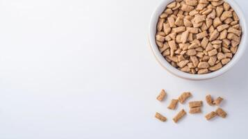 Dog food in bowl on white background photo
