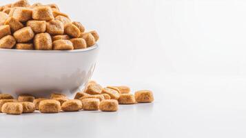 A bowl of cereal with cereal in it photo
