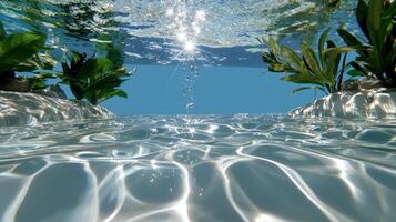 A view of a pool with plants and water photo