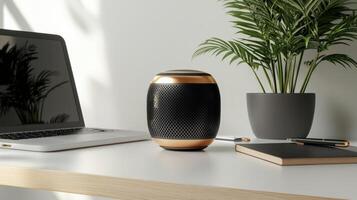 A laptop, a black and gold speaker and a plant photo
