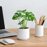 A laptop, a mouse, and a plant on a desk photo