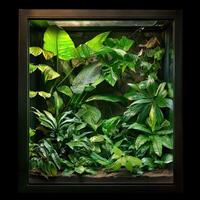 A large glass case with plants in it photo
