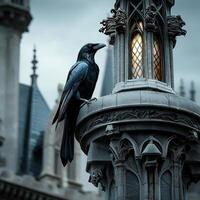 A crow sits on top of a lamp post in front of a castle photo