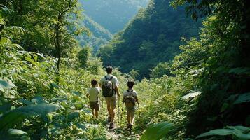 Three people walking through the jungle photo