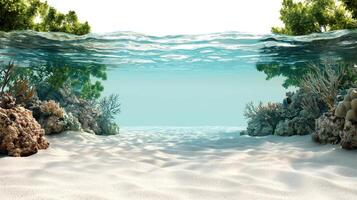 Underwater view of coral reef and sand photo