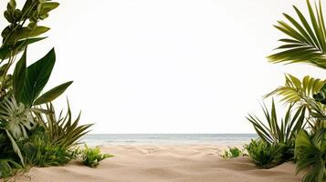 Tropical palm trees and sand on the beach photo