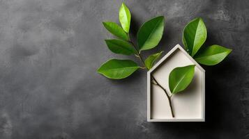 Green house plant in a white house shape on a gray background photo