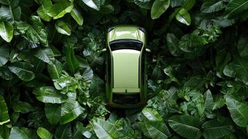 A car is sitting in the middle of a green jungle photo