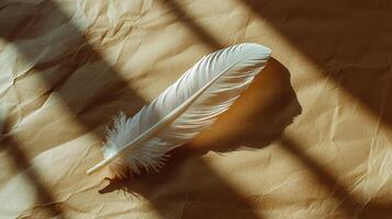 A white feather laying on top of a brown paper photo