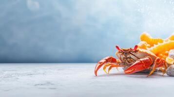 A crab with a shell and a shell on the ground photo