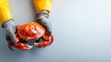 A person wearing a yellow rubber glove holding a crab photo