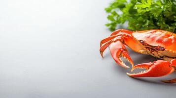 A crab with a green leaf on top of it photo