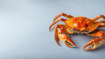 A crab with its legs spread out on a blue surface photo