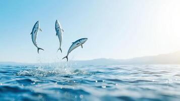 Three fish jumping out of the water photo