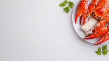 Fresh seafood on white plate with parsley photo