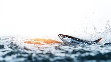 A fish jumping out of the water with a splash photo