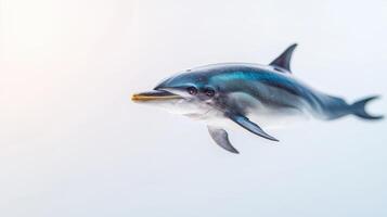 A dolphin is flying in the air on a white background photo