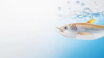 A fish is floating in the water with bubbles photo