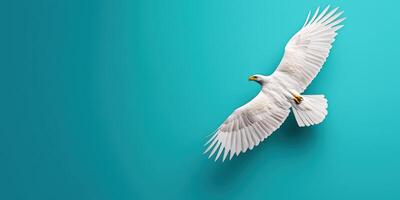 A white bird flying in the air on a blue background photo