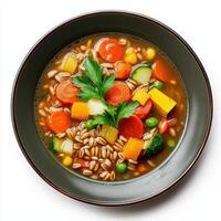 A bowl of vegetable and barley soup with a green leaf photo