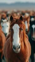 Herd of horses in the wild with a focus on a chestnut mare against a blurred background of other horses photo