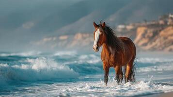Horse standing in shallow ocean water enjoying the waves during a sunny day near the coast photo