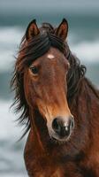 Majestic brown horse poses against a backdrop of ocean waves on a cloudy day photo