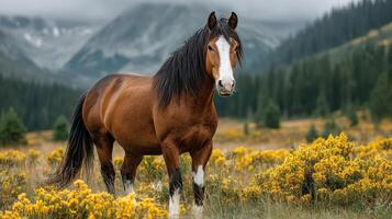 Majestic brown horse standing among vibrant yellow flowers in a green mountain landscape on an overcast day photo