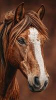 Majestic brown horse with flowing mane gazes attentively in a serene natural setting during golden hour photo