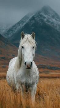 Majestic white horse standing in golden grass with mountains and clouds in the background during a cloudy day photo