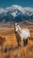 Majestic white horse standing in golden grasslands with snow-capped mountains in the background during daylight photo