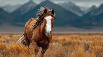 Brown horse galloping through golden grasslands against a backdrop of majestic mountains under an overcast sky photo