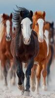Herd of wild horses galloping across a sandy landscape under a clear sky photo