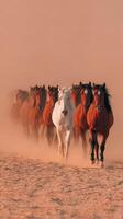 Majestic horses galloping through a dusty landscape at sunset creating a captivating spectacle photo