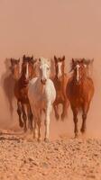 Horses galloping through dusty terrain in the warm afternoon light, showcasing strength and beauty in a natural setting photo
