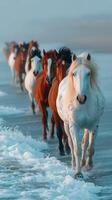 Horses walking along the shoreline at sunset capturing the essence of freedom and nature's beauty photo
