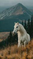 Majestic white horse stands on a grassy mountain slope at sunset near towering peaks and lush pine trees photo