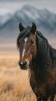 Majestic wild horse stands gracefully against a backdrop of mountains and golden grasslands at twilight photo