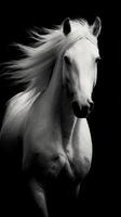 Majestic white horse gallops forward with flowing mane in dramatic black and white setting photo