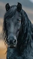 Majestic black horse with flowing mane gazes into the distance at sunset in a serene landscape photo
