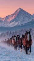 Horses march through snowy landscape near mountain range at sunrise in winter photo