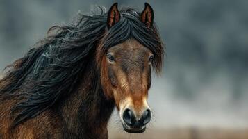 Wild horse stands majestically in a natural landscape under soft light with flowing mane and expressive eyes photo