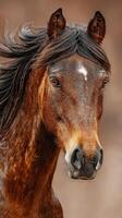 Brown horse standing majestically with flowing mane against a neutral background in natural light during the day photo