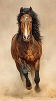Powerful brown horse galloping through dusty terrain with flowing mane under bright sunlight photo
