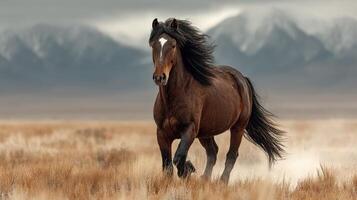 Horse galloping across a dusty landscape with mountains in the background during an overcast day photo