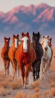 Majestic horses galloping through desert landscape at sunset near mountain range photo
