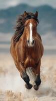 Galloping brown horse in a sweeping landscape under a clear sky during a bright afternoon photo