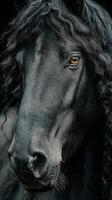 Majestic black horse with curly mane showcases striking features in a dramatic close-up photo