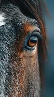 Beautiful close-up of a horse's eye showcasing intricate details and vibrant colors in natural light photo